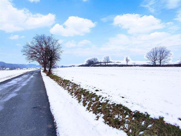 Prodej zemědělské půdy, Tojice, 13318 m2