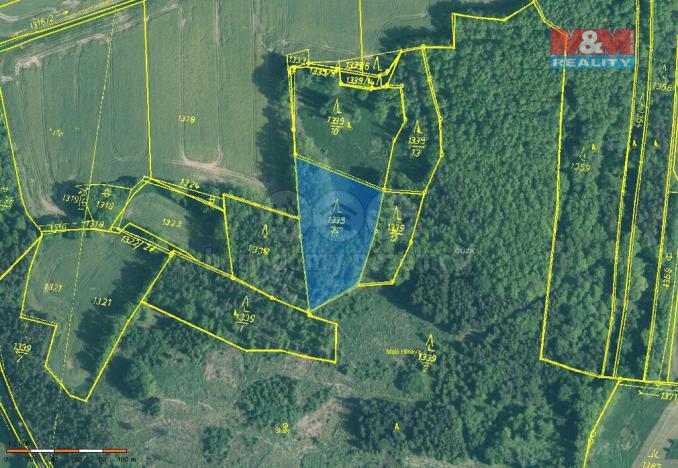 Prodej lesa, Skály, 20093 m2