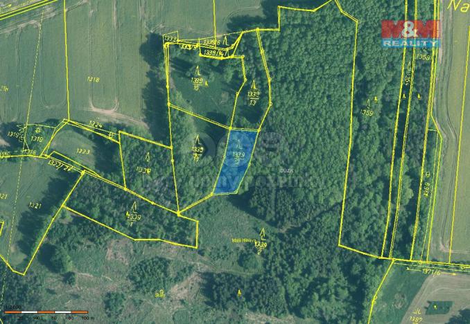 Prodej lesa, Skály, 20093 m2