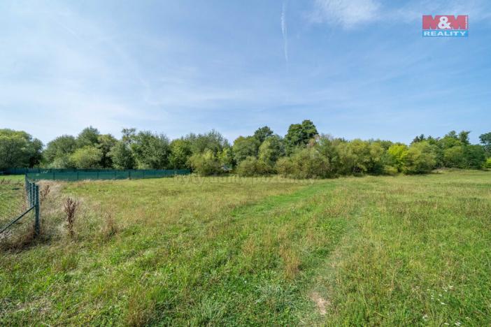 Prodej trvalého travního porostu, Mirošov, 2733 m2