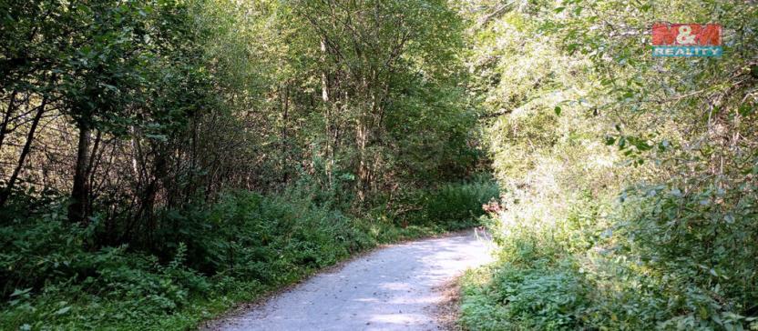 Prodej louky, Chyňava, 11196 m2