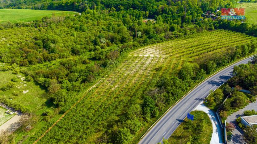 Prodej pole, Roudnice nad Labem, 10048 m2