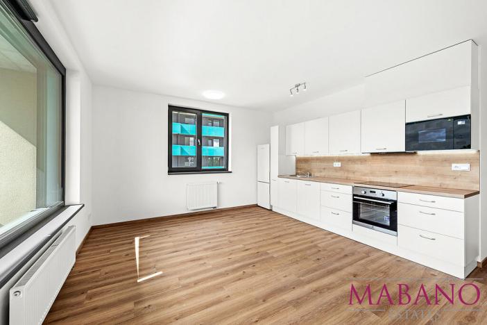 Pronájem bytu 2+kk, Praha - Žižkov, Olgy Havlové, 52 m2