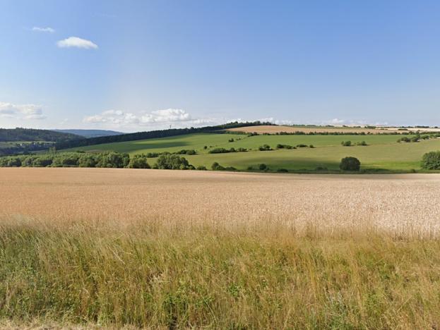 Prodej zemědělské půdy, Žinkovy, 17323 m2