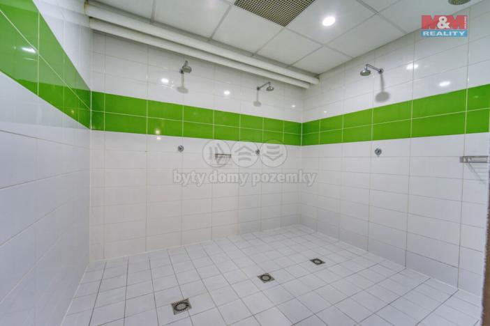 Pronájem obchodního prostoru, Plzeň - Bolevec, Gerská, 845 m2