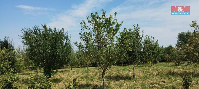 Prodej zahrady, Příbor, 5861 m2