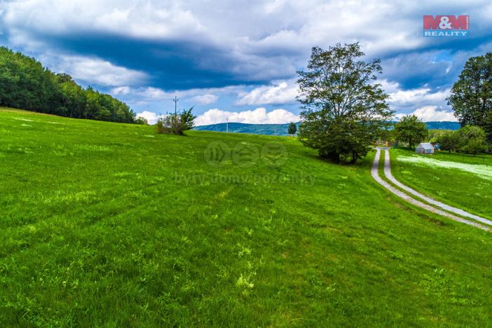 Prodej louky, Chotovice, 65153 m2