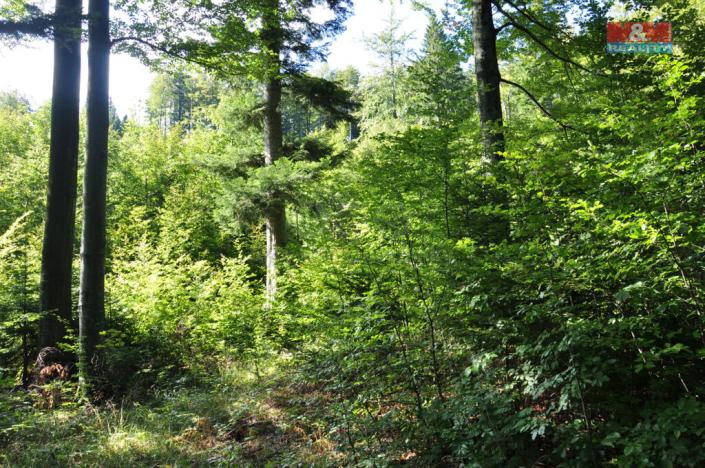 Prodej pozemku, Nýdek, 2119 m2