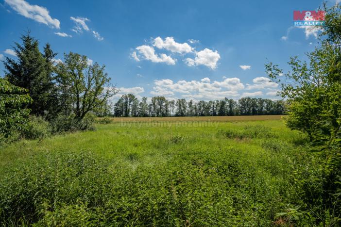 Prodej pozemku pro bydlení, Loucká, 1342 m2