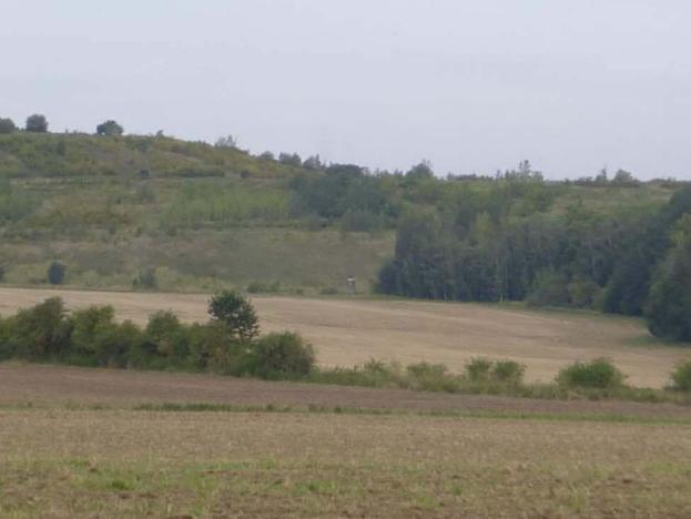 Dražba pole, Kamenné Žehrovice, 4181 m2