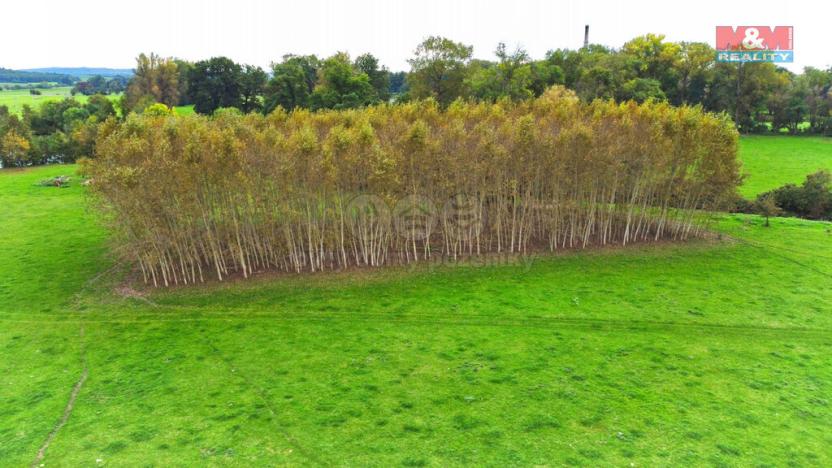 Prodej lesa, Skřivany, 1461 m2