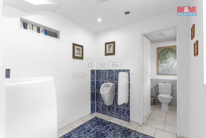 Prodej rodinného domu, Žandov - Heřmanice, 6710 m2