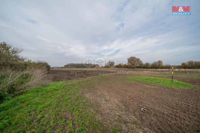 Prodej pole, Věrovany, 8477 m2