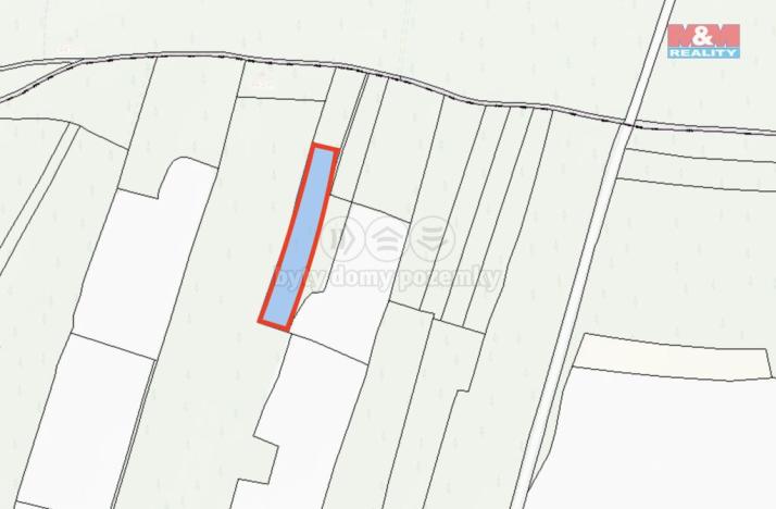 Prodej lesa, Řeřichy, 6619 m2