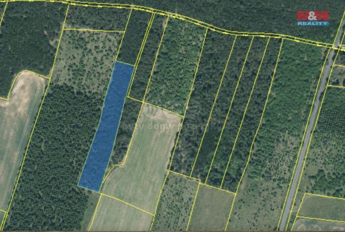 Prodej lesa, Řeřichy, 6619 m2