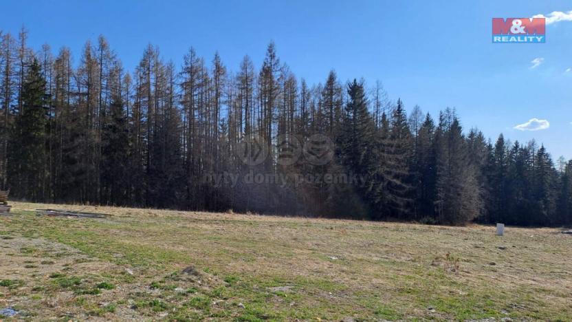 Prodej pozemku pro bydlení, Václavov u Bruntálu - Horní Václavov, 1095 m2