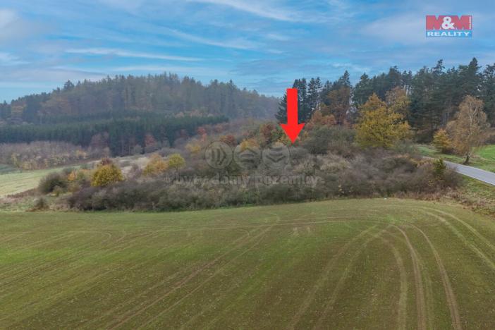 Prodej pole, Nepomuk, 1163 m2
