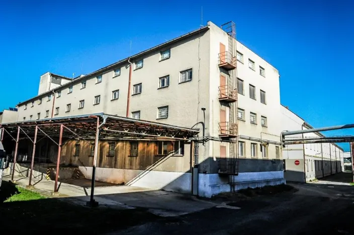 Pronájem výrobních prostor, Hodonín, Bratislavská, 2800 m2