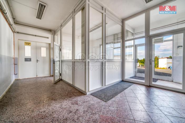 Prodej výrobních prostor, Planá, Zámecká, 2800 m2