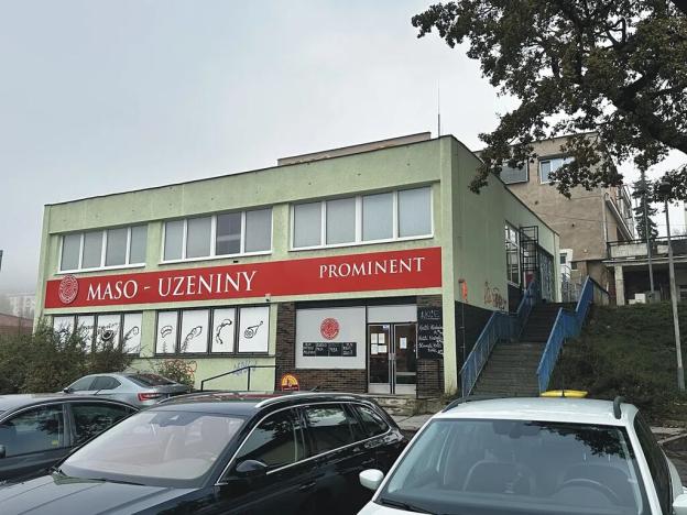 Pronájem komerční nemovitosti, Děčín, Lesní cesta, 230 m2