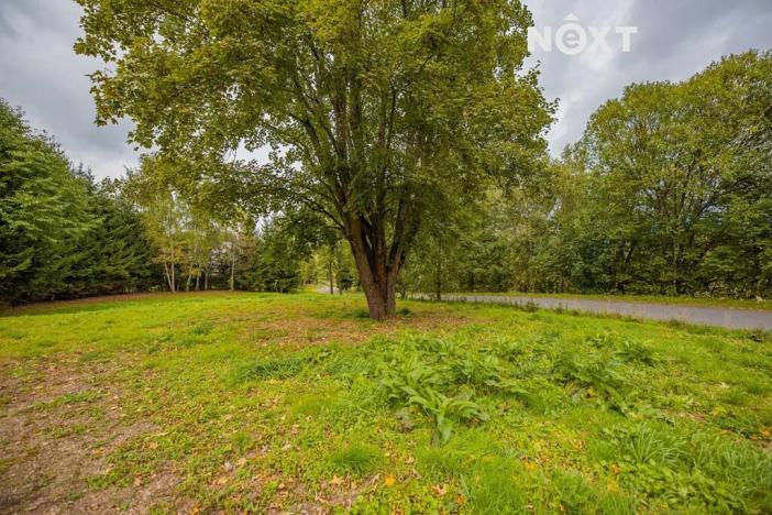 Prodej pozemku pro bydlení, Malá Morava, 2133 m2