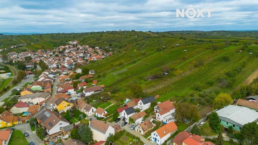 Prodej rodinného domu, Mutěnice, 450 m2