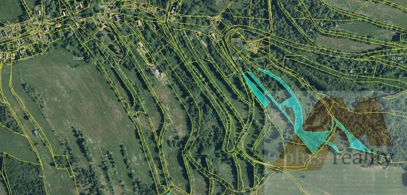 Prodej louky, Stráž nad Ohří, 14054 m2