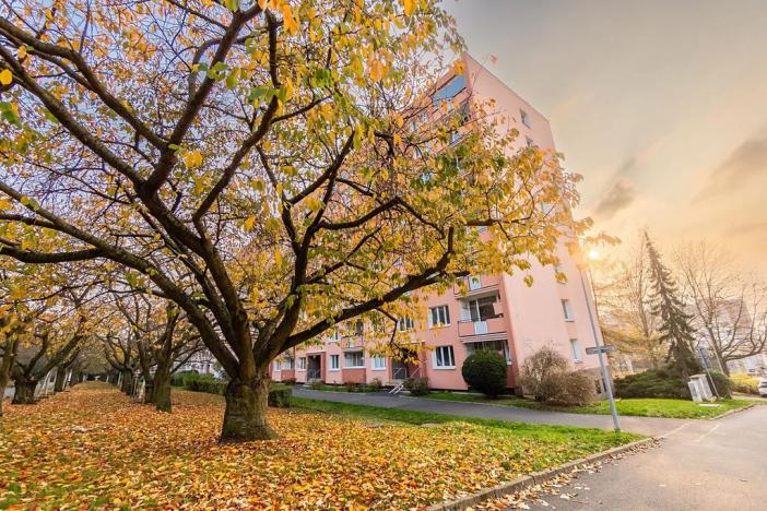 Prodej bytu 3+1, Ústí nad Labem, Pod Parkem, 84 m2