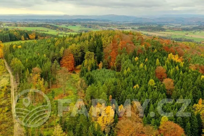Prodej lesa, Krásná Hora nad Vltavou, 1087255 m2