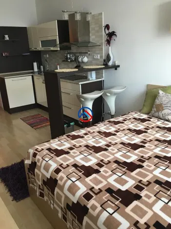 Pronájem bytu 1+kk, Olomouc, Horní lán, 30 m2