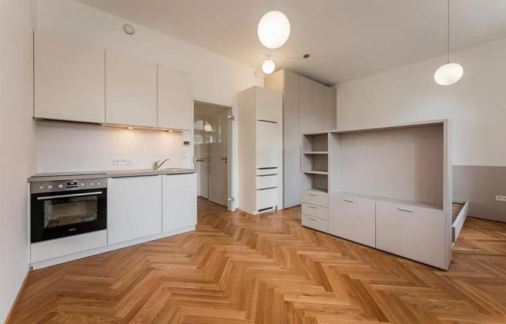 Pronájem bytu 1+kk, Praha - Žižkov, Seifertova, 32 m2