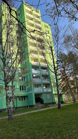 Prodej bytu 3+1, Ostrava, Petruškova, 70 m2