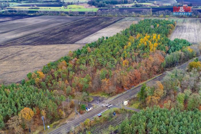 Prodej lesa, Lysá nad Labem, 6436 m2