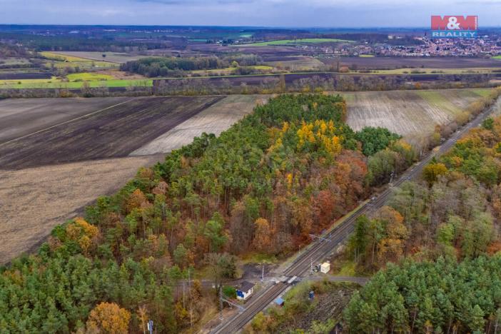 Prodej lesa, Lysá nad Labem, 6436 m2
