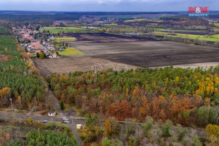 Prodej lesa, Lysá nad Labem, 6436 m2