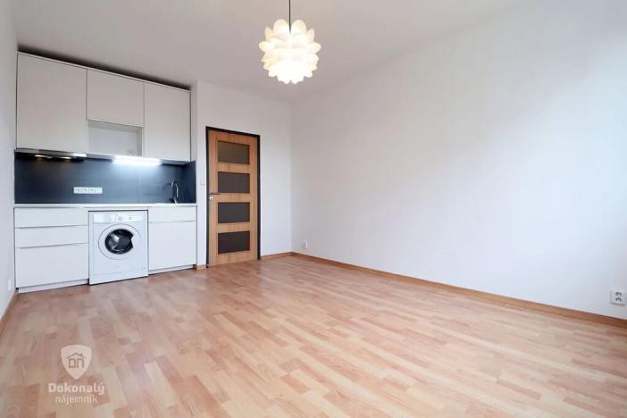 Pronájem bytu 1+kk, Praha - Michle, Bítovská, 27 m2