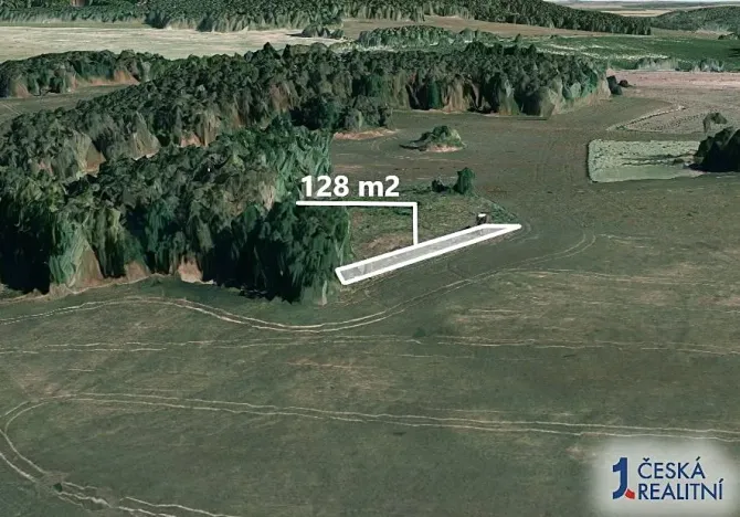 Prodej lesa, Přešťovice, 128 m2