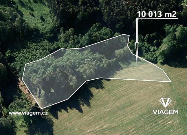 Prodej podílu lesa, Kaliště, 2503 m2