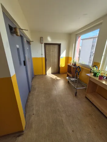 Prodej podílu bytu 2+kk, Praha - Žižkov, Pod lipami, 44 m2