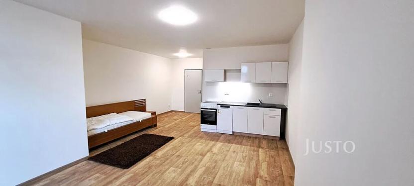 Pronájem bytu 1+kk, Čížová, 29 m2