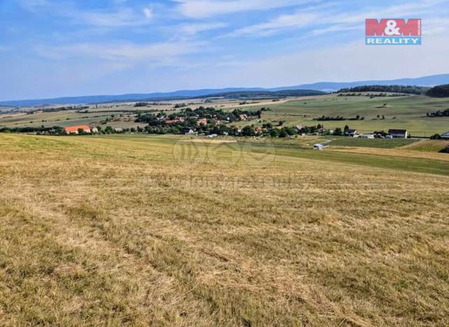 Prodej louky, Málkov, 13000 m2