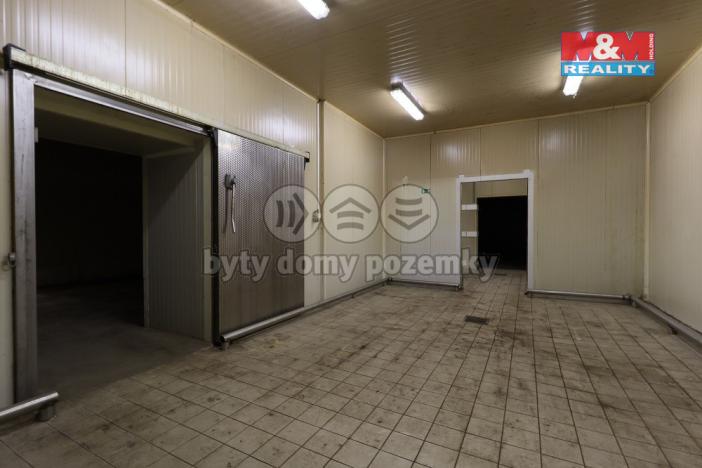 Pronájem výrobních prostor, Čáslav - Čáslav-Nové Město, Pod Nádražím, 80 m2
