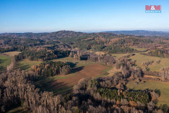 Prodej lesa, Nalžovské Hory - Nalžovy, 25838 m2