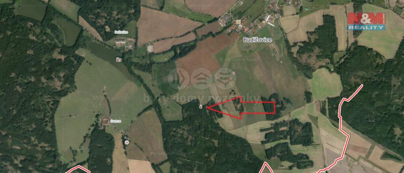 Prodej lesa, Skály, 5564 m2