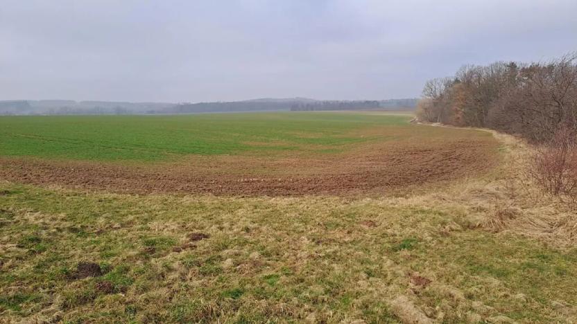 Prodej zahrady, Oleška, 140 m2