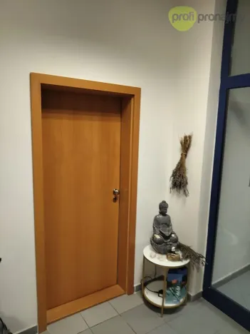 Pronájem kanceláře, Havířov, U Stromovky, 20 m2