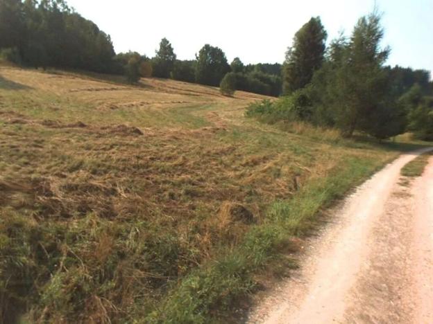 Dražba louky, Chotěvice, 15834 m2