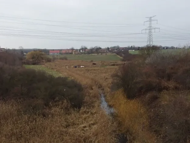 Dražba louky, Brandýs nad Labem-Stará Boleslav, 3781 m2