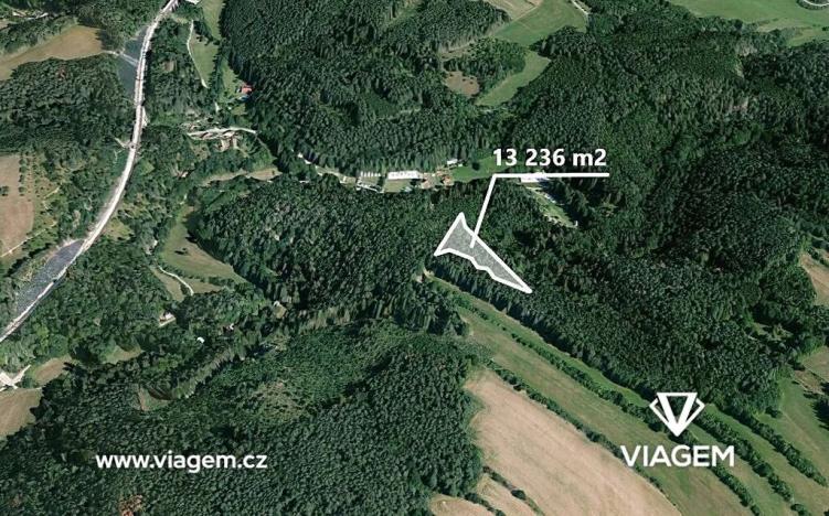 Prodej podílu lesa, Kuřimská Nová Ves, 4412 m2