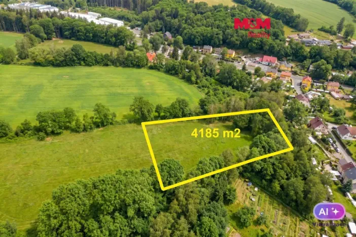 Prodej louky, Ostrov - Dolní Žďár, 4185 m2